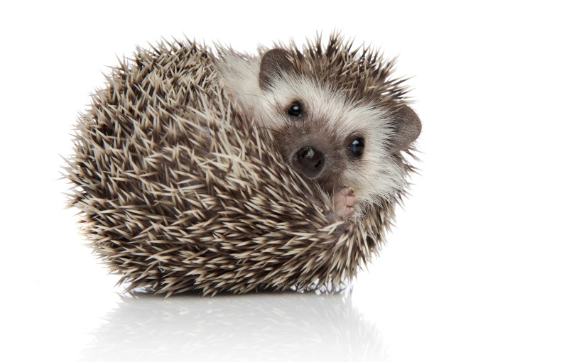 Why Do We Need “Spiky”&nbsp;Profiles?